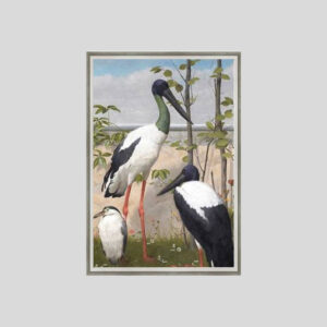 English Exotic Birds